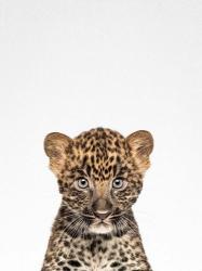Leopard | Obraz na stenu