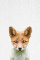 Baby Fox | Obraz na stenu