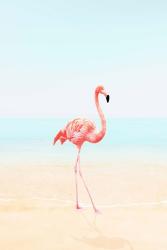 Flamingo on the Beach II | Obraz na stenu