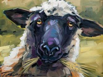 Bless Ewe | Obraz na stenu