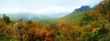 Whiteside Overlook | Obraz na stenu