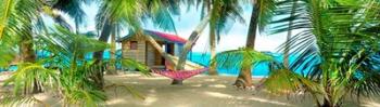 Twin Hammocks | Obraz na stenu