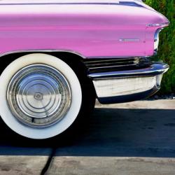 Pink Cadillac Tire | Obraz na stenu