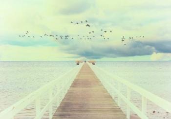Man and The Sea | Obraz na stenu