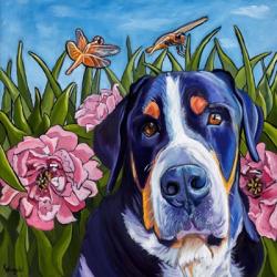 Dog and Dragonflies | Obraz na stenu