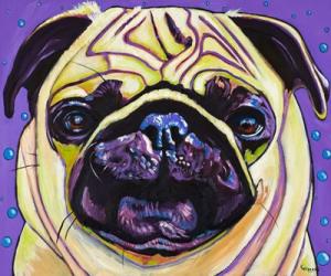 Purple Pug | Obraz na stenu