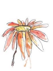 Orange Modern Botanical | Obraz na stenu