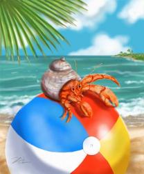 Beach Friends - Hermit Crab | Obraz na stenu
