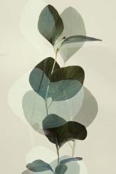 Green Leaves 8 | Obraz na stenu