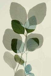 Green Leaves 10 | Obraz na stenu