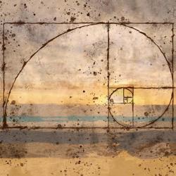 Fibonacci Shell | Obraz na stenu