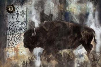 Buffalo | Obraz na stenu