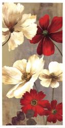 Springerle Floral I | Obraz na stenu