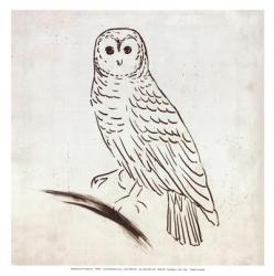 Owl I | Obraz na stenu