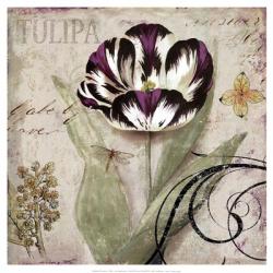 Tulipa II | Obraz na stenu