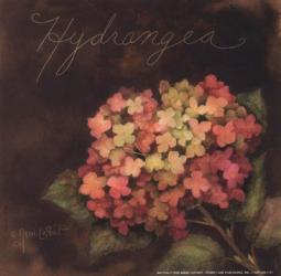 Midnight Hydrangea | Obraz na stenu