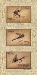 Fishing Flies | Obraz na stenu