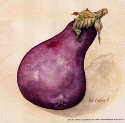 Eggplant | Obraz na stenu