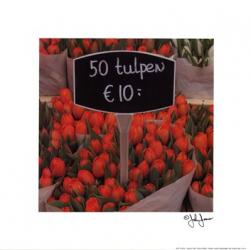 Red Tulips | Obraz na stenu