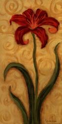 Red Day Lily | Obraz na stenu