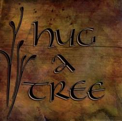 Hug a Tree | Obraz na stenu