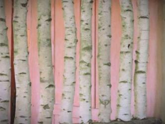 Birch Logs On Pink | Obraz na stenu