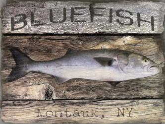 Bluefish | Obraz na stenu