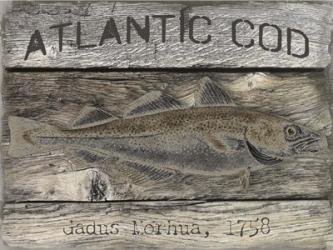 Atlantic Cod | Obraz na stenu