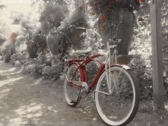 Garden Bike Red | Obraz na stenu