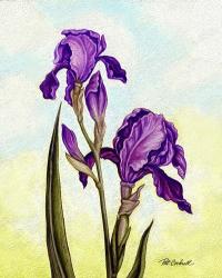 Irises | Obraz na stenu