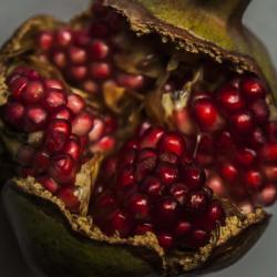 Pomegranate | Obraz na stenu