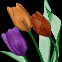Jeweled Tulips 4 | Obraz na stenu