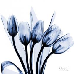 Marvelous Indigo Tulips | Obraz na stenu