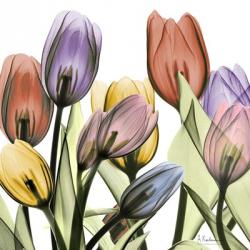 Tulipscape 2 | Obraz na stenu