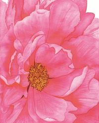 Pink Flower 2 | Obraz na stenu