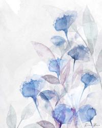 Modern Poppies 2 Blue | Obraz na stenu