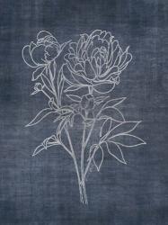 White Peony on Navy 2 | Obraz na stenu