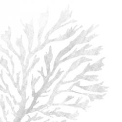 White Seaweed 2 | Obraz na stenu