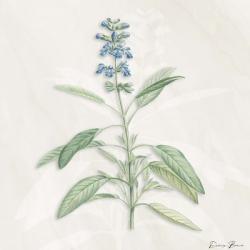 Blue Botanical 1 | Obraz na stenu