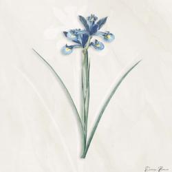 Blue Botanical 2 | Obraz na stenu