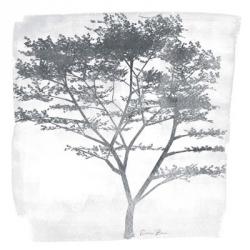Tree 1 | Obraz na stenu