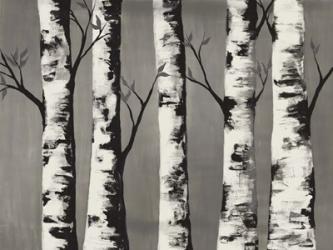 Birch Backwoods | Obraz na stenu