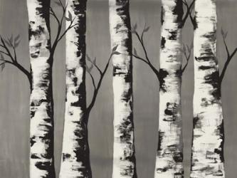 Birch Backwoods | Obraz na stenu