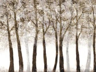 Wooded Grove | Obraz na stenu