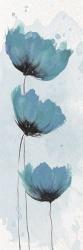 Blue Poppies 2 | Obraz na stenu