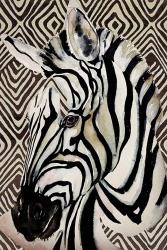 Designer Zebra | Obraz na stenu