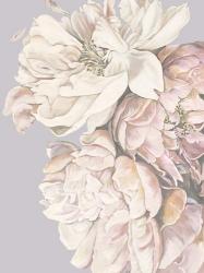 Soft Peonies | Obraz na stenu
