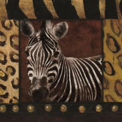 Zebra bordered | Obraz na stenu
