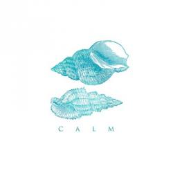 Calm Shells | Obraz na stenu