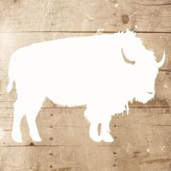White On Wood Buffalo Mate | Obraz na stenu